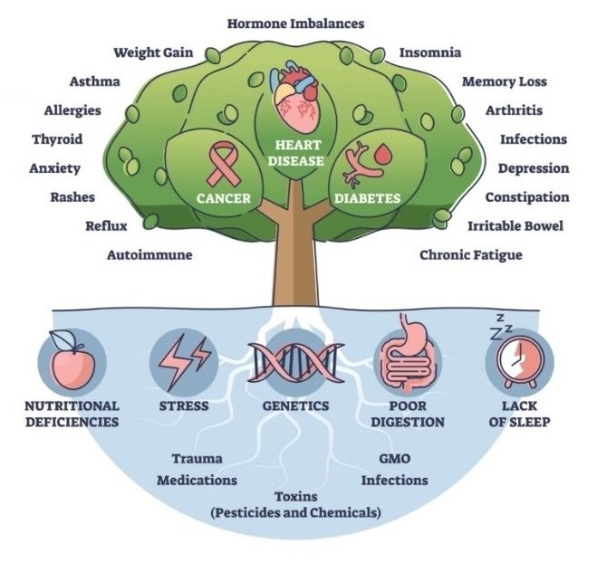 406 Woman Magazine – The Rise of Functional Medicine